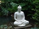 khai-niem-phap-dharma-trong-phat-giao